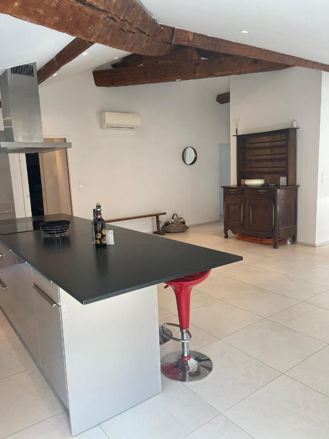 Grand appartement style loft bord de mer Propriano  Eksteriør billede